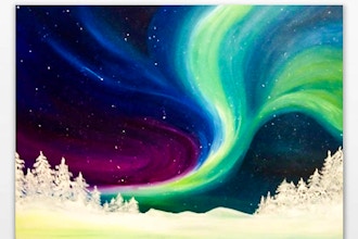 Winter Bright Northern Lights